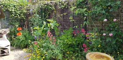 thumb_20200524_104443.jpg