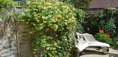 thumb_20200524_114931.jpg