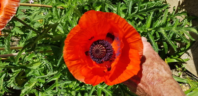 thumb_20200526_154732.jpg