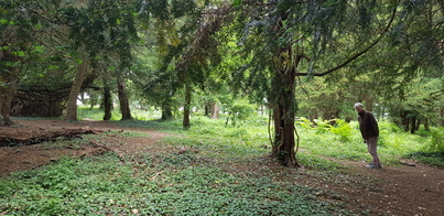 thumb_20200604_115530.jpg