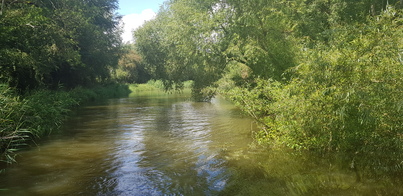 thumb_20200801_132834.jpg