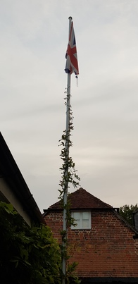thumb_20200830_193756.jpg