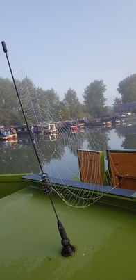 thumb_20200914_085103.jpg