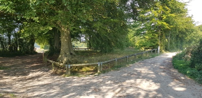 thumb_20200915_110858.jpg