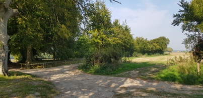 thumb_20200915_110939.jpg