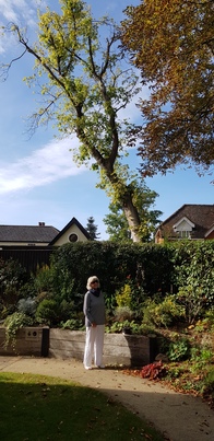 thumb_20200928_103355.jpg