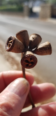 thumb_20201019_111545.jpg