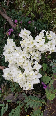 thumb_20201022_155107.jpg