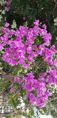 thumb_20201022_155129.jpg