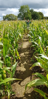 thumb_20200905_120154.jpg