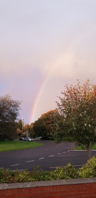 thumb_20201010_180225.jpg