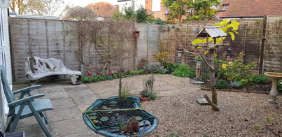 thumb_20201124_153928.jpg