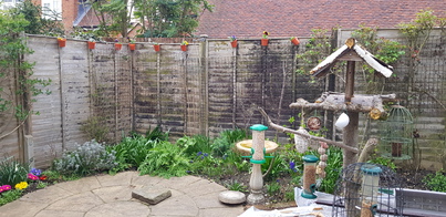 thumb_20210327_162503.jpg