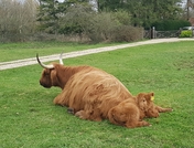 thumb_20210401_171710.jpg