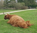thumb_20210401_171824.jpg