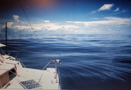 thumb_20201115_184115.jpg