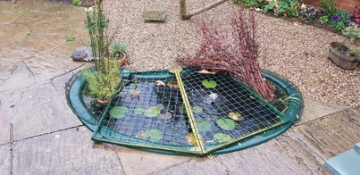 thumb_20201109_154336.jpg