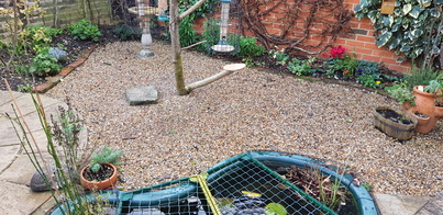 thumb_20210103_130030.jpg