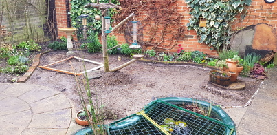 thumb_20210201_090914.jpg