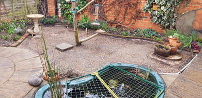 thumb_20210216_134957.jpg