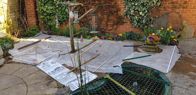 thumb_20210322_162725.jpg