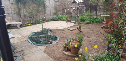 thumb_20210331_142647.jpg