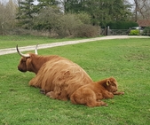 thumb_20210401_171638.jpg