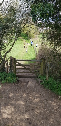 thumb_20210416_145335.jpg