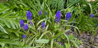 thumb_20210417_172608.jpg