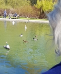 thumb_20210418_121350.jpg