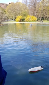 thumb_20210418_121535.jpg
