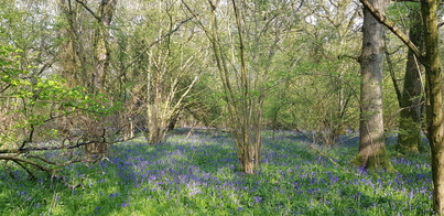 thumb_20210501_164536.jpg
