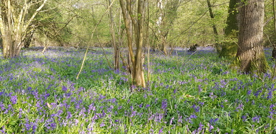 thumb_20210501_164559.jpg