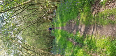 thumb_20210501_164610.jpg