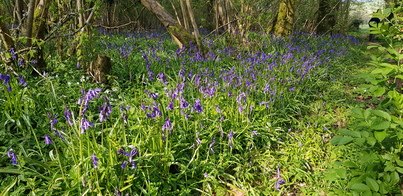 thumb_20210501_165215.jpg