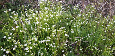 thumb_20210501_165818.jpg
