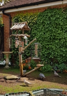 thumb_20210501_203702.jpg