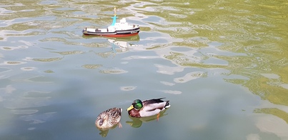 thumb_20210502_110636.jpg