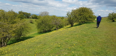 thumb_20210507_135226.jpg