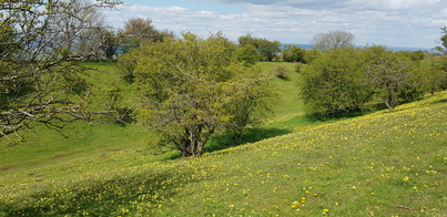 thumb_20210507_135230.jpg