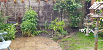 thumb_20210520_122515.jpg