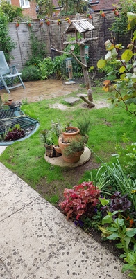thumb_20210520_122541.jpg