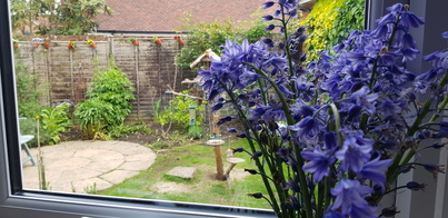 thumb_20210520_135636.jpg