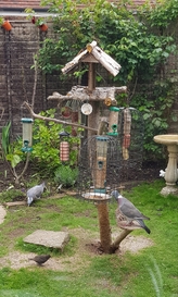 thumb_20210521_155233.jpg