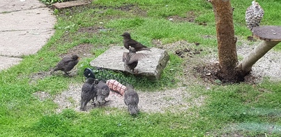 thumb_20210522_085021.jpg