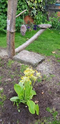 thumb_20210526_192923.jpg