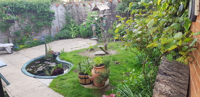 thumb_20210527_183027.jpg