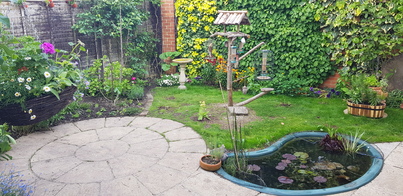 thumb_20210527_183113.jpg