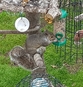 thumb_20210531_085114.jpg