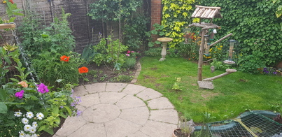 thumb_20210603_183124.jpg